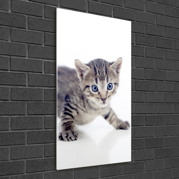 Wall art acrylic Small cat