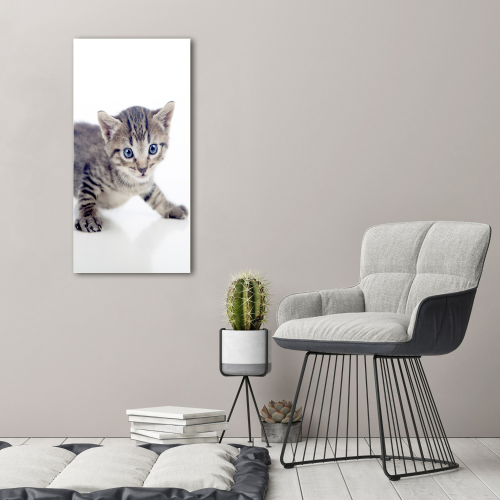 Wall art acrylic Small cat