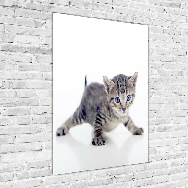 Wall art acrylic Small cat