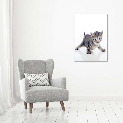 Wall art acrylic Small cat