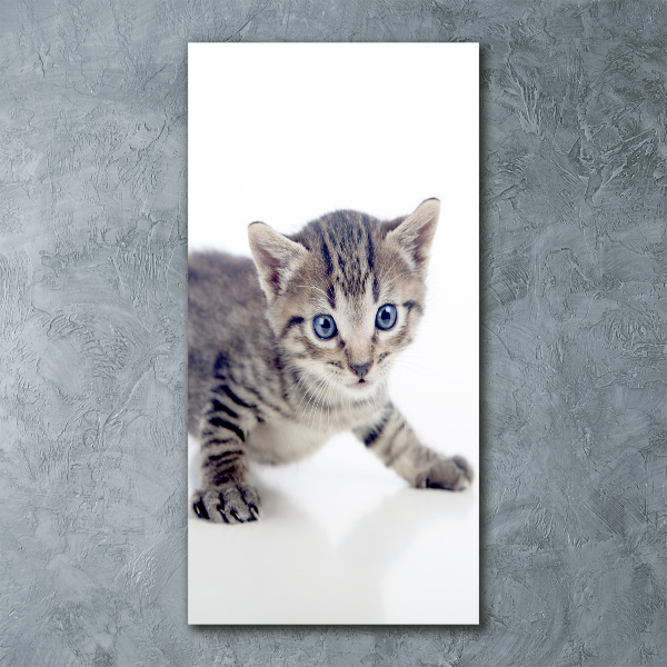 Wall art acrylic Small cat