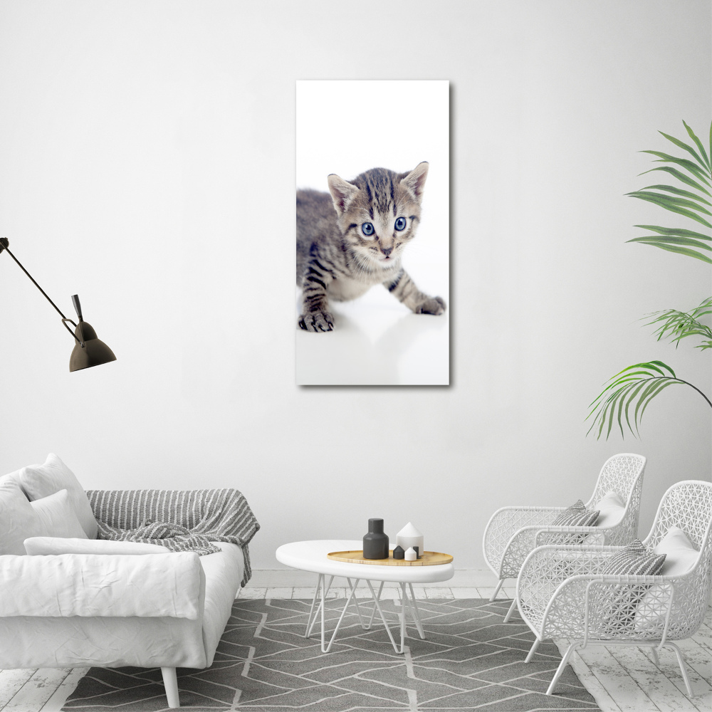 Wall art acrylic Small cat