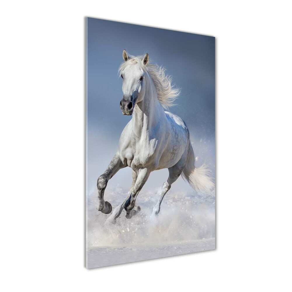 Wall art acrylic White horse at a gallop