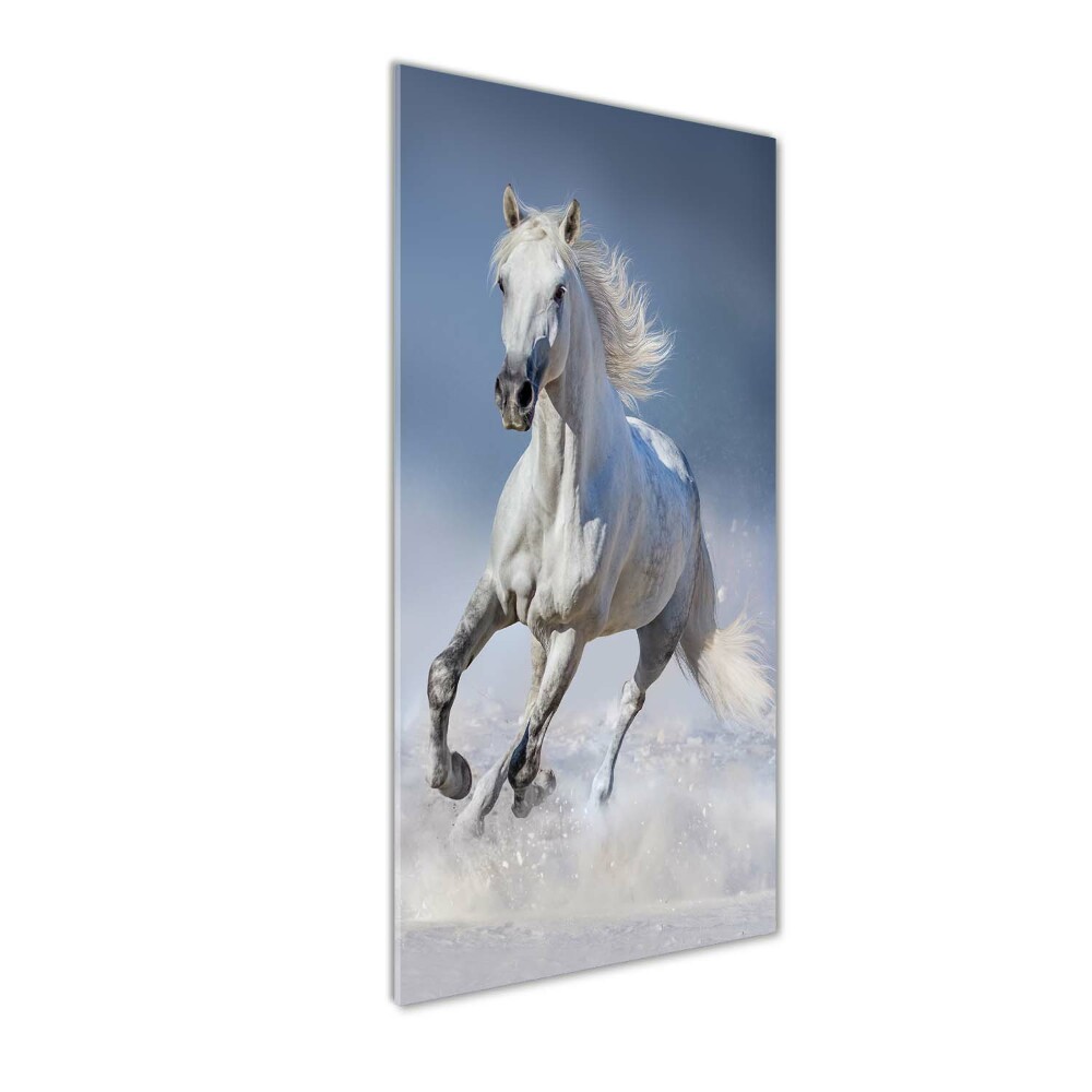 Wall art acrylic White horse at a gallop