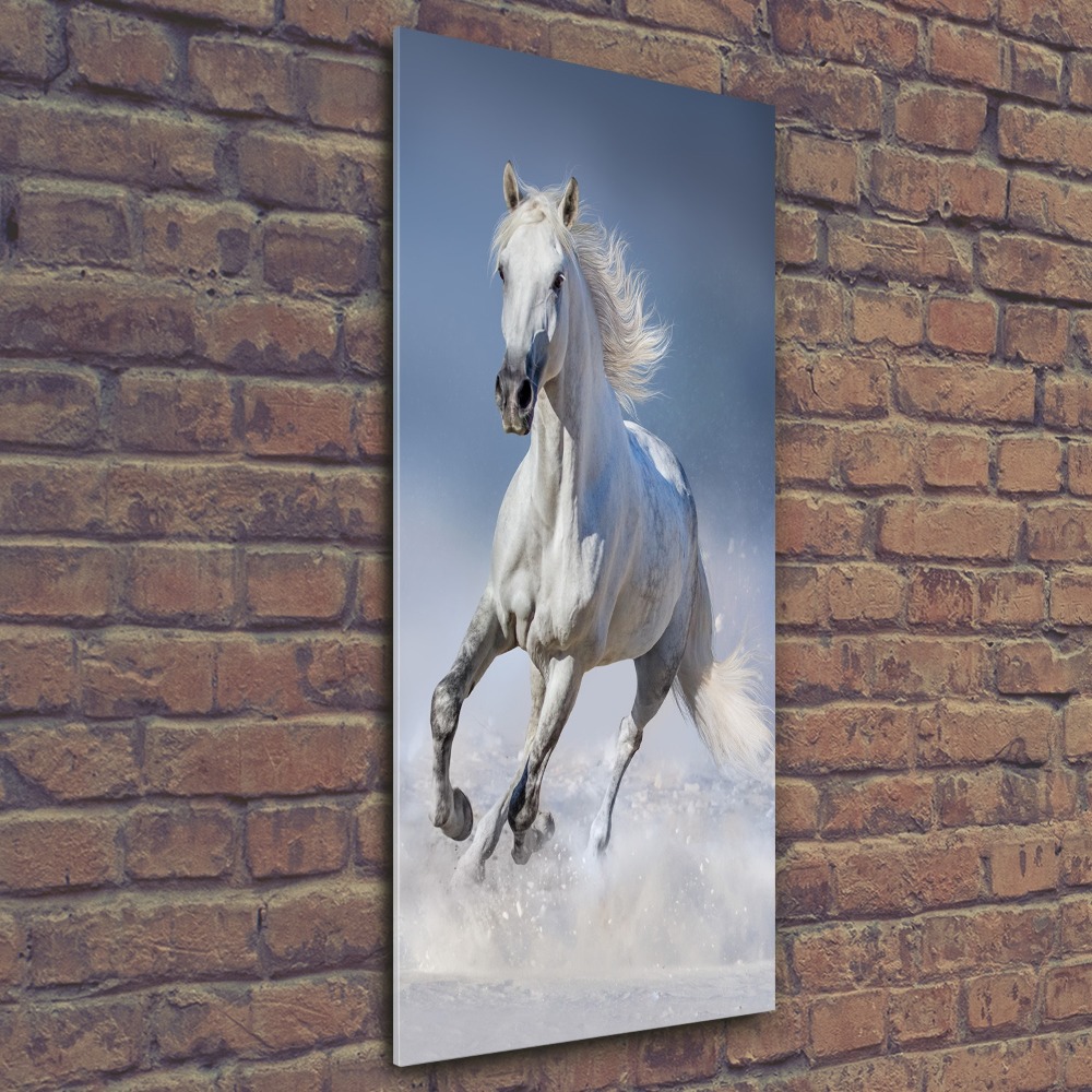 Wall art acrylic White horse at a gallop