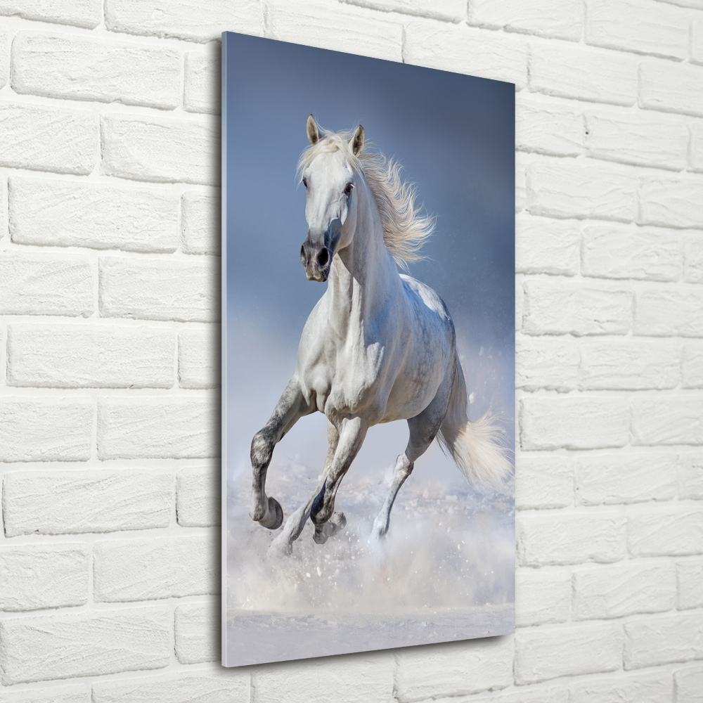 Wall art acrylic White horse at a gallop