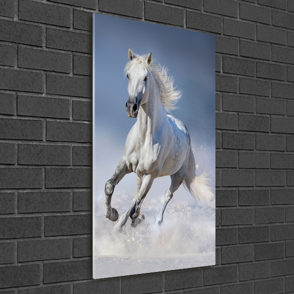 Wall art acrylic White horse at a gallop