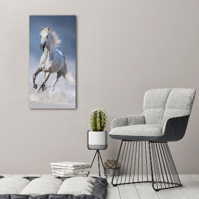 Wall art acrylic White horse at a gallop