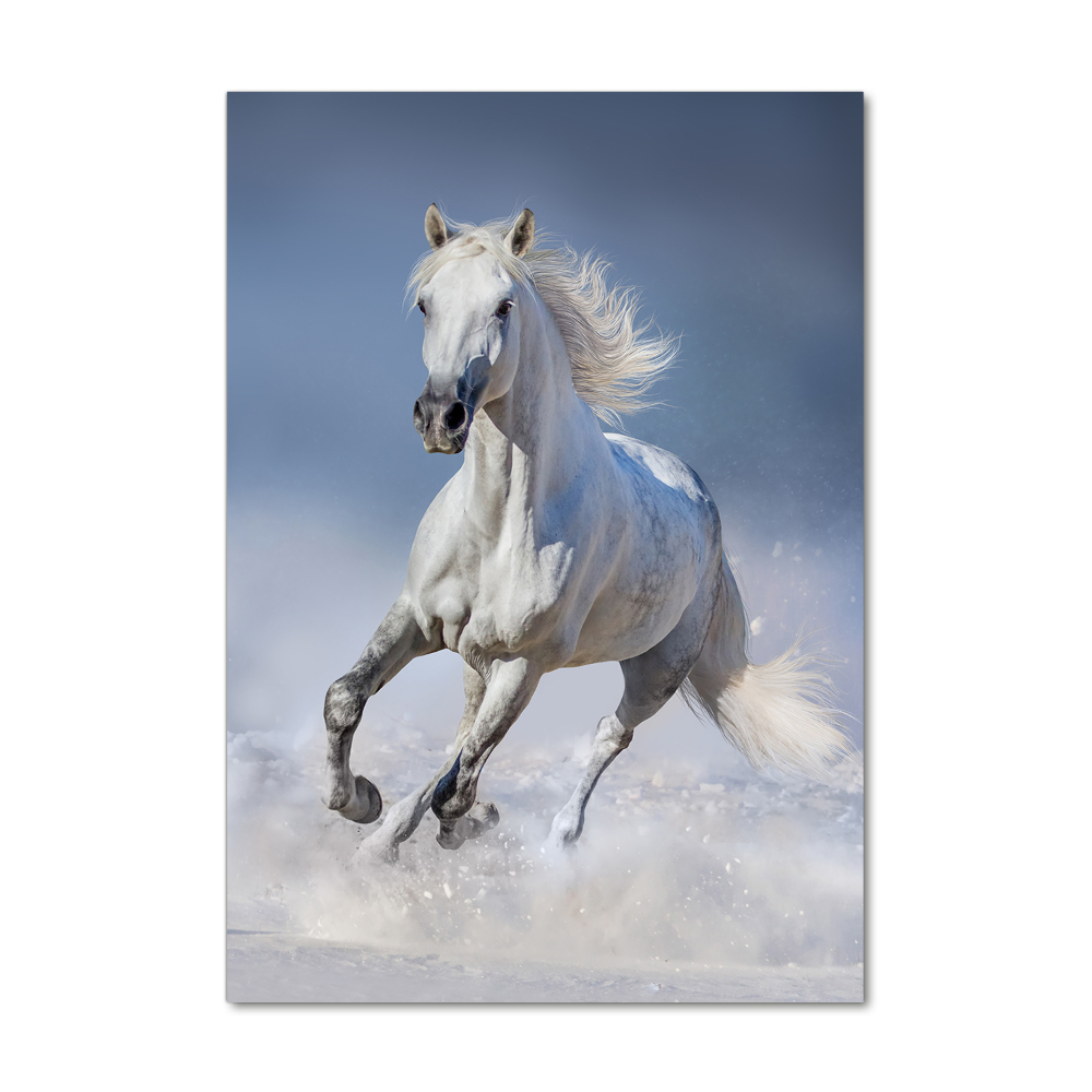 Wall art acrylic White horse at a gallop