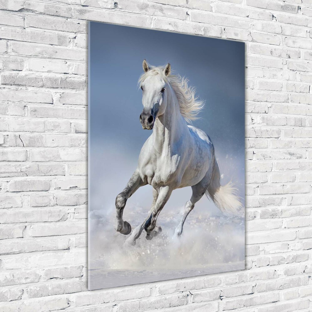 Wall art acrylic White horse at a gallop