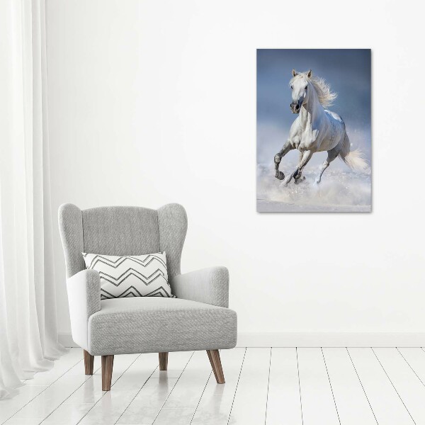 Wall art acrylic White horse at a gallop