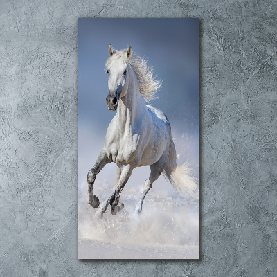 Wall art acrylic White horse at a gallop