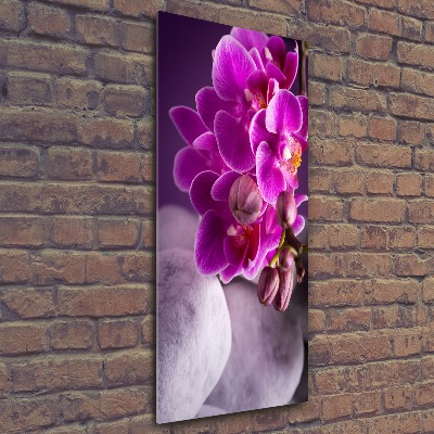 Print on acrylic Pink orchid