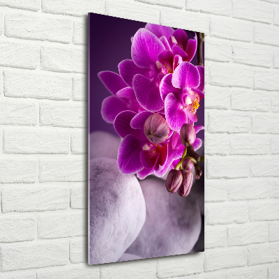 Print on acrylic Pink orchid