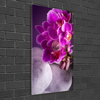 Print on acrylic Pink orchid