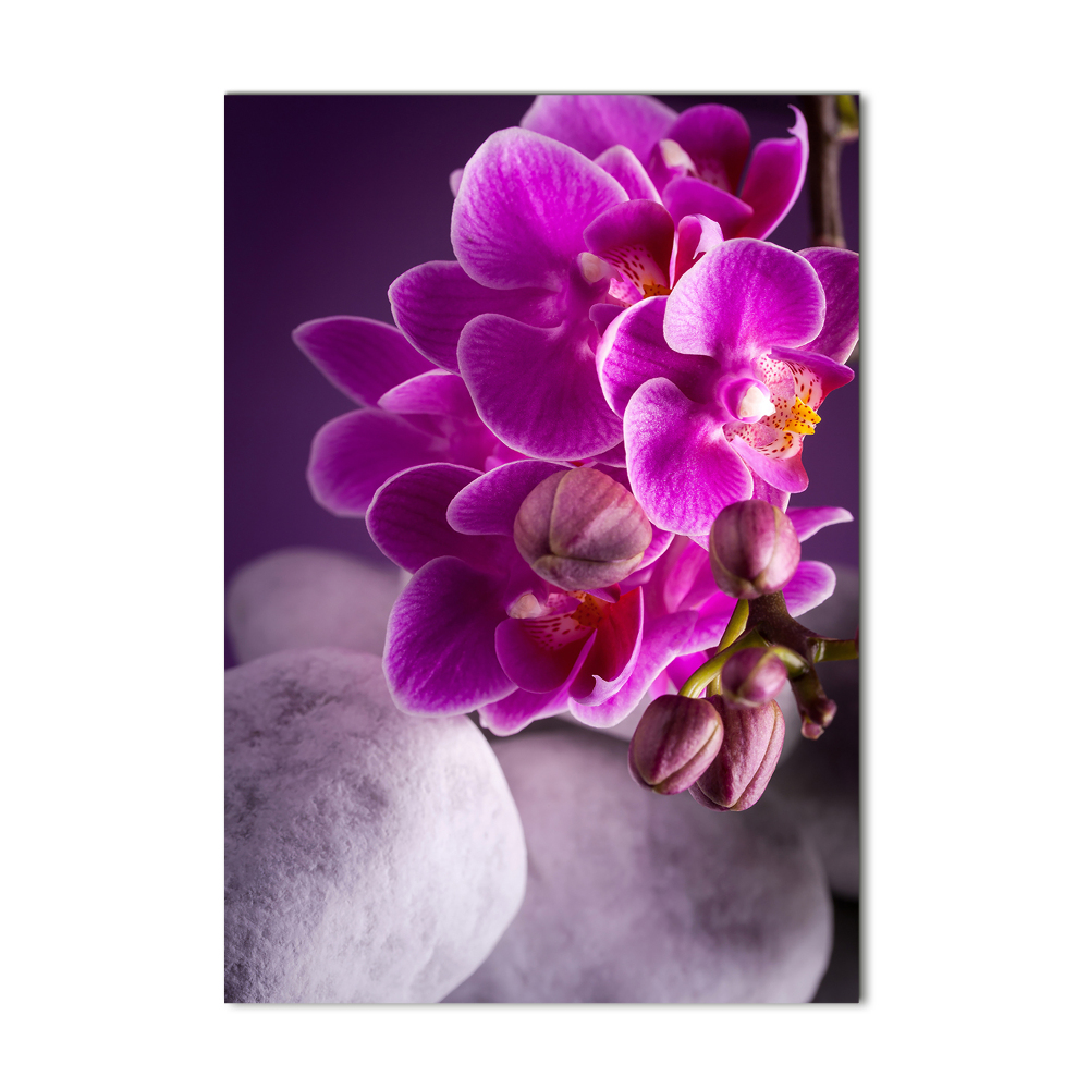 Print on acrylic Pink orchid