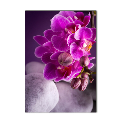 Print on acrylic Pink orchid