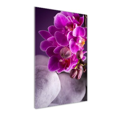 Print on acrylic Pink orchid