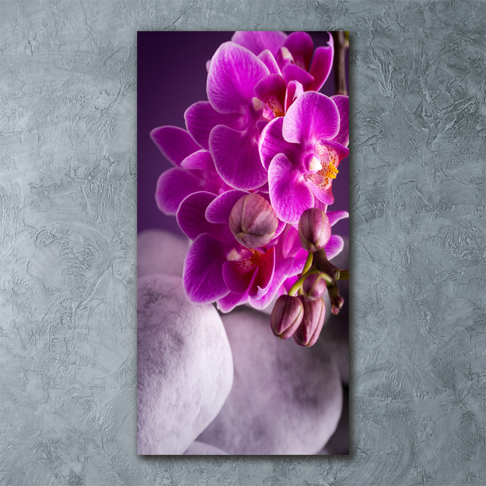 Print on acrylic Pink orchid