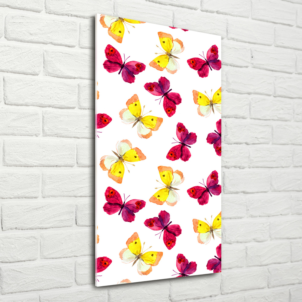 Acrylic print Colorful butterflies