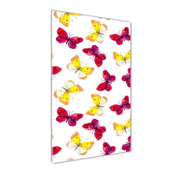 Acrylic print Colorful butterflies