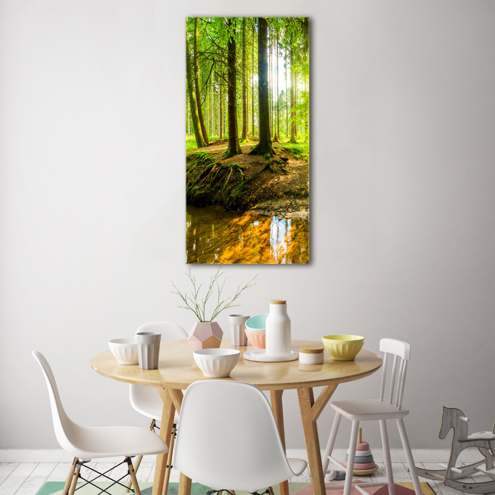 Print on acrylic Stream in the forest