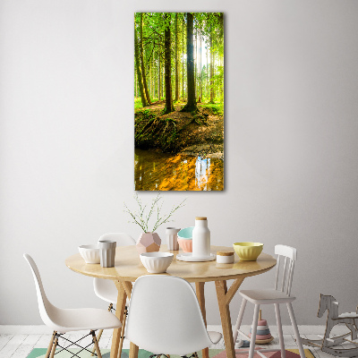 Print on acrylic Stream in the forest