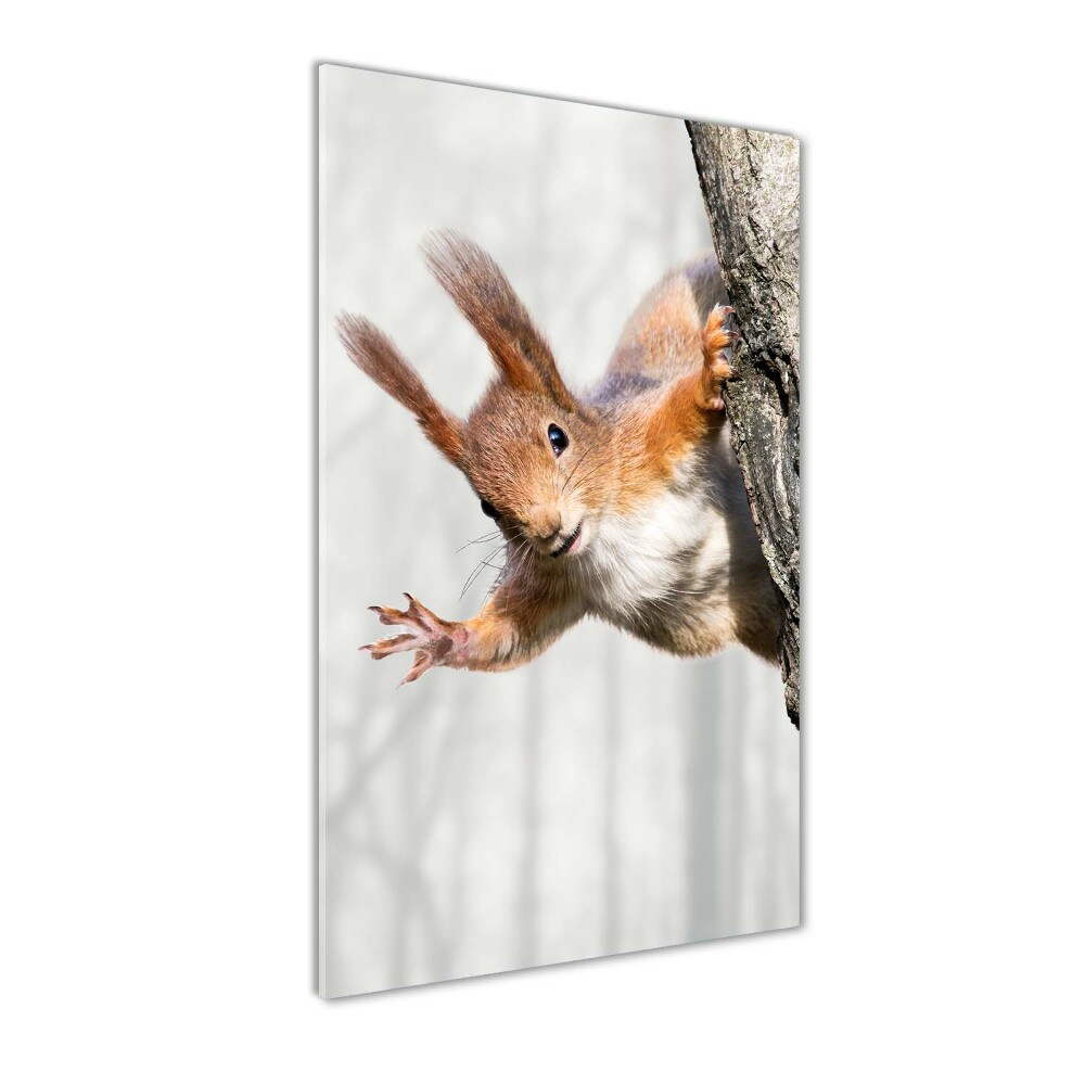 Acrylic wall art Squirrel on a tree