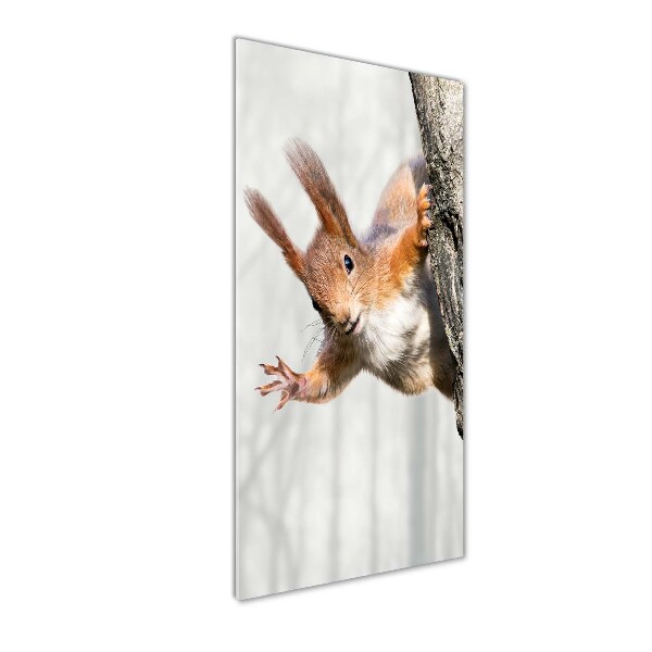 Acrylic wall art Squirrel on a tree