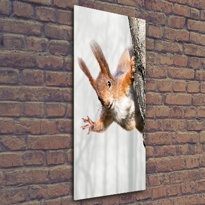 Acrylic wall art Squirrel on a tree