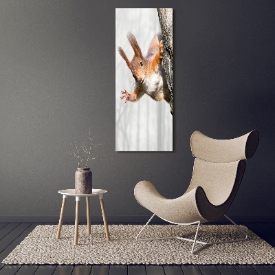 Acrylic wall art Squirrel on a tree