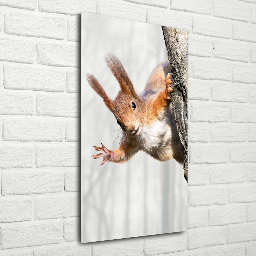 Acrylic wall art Squirrel on a tree