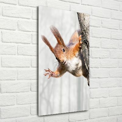 Acrylic wall art Squirrel on a tree