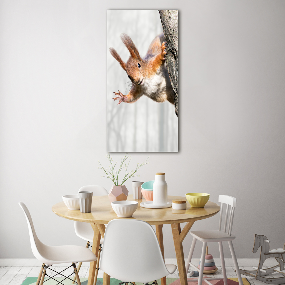 Acrylic wall art Squirrel on a tree