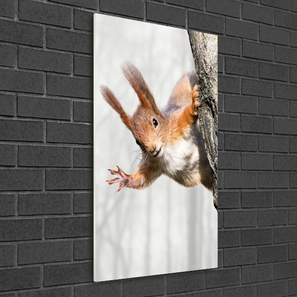 Acrylic wall art Squirrel on a tree