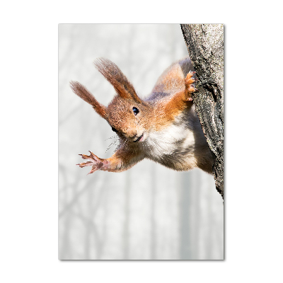 Acrylic wall art Squirrel on a tree