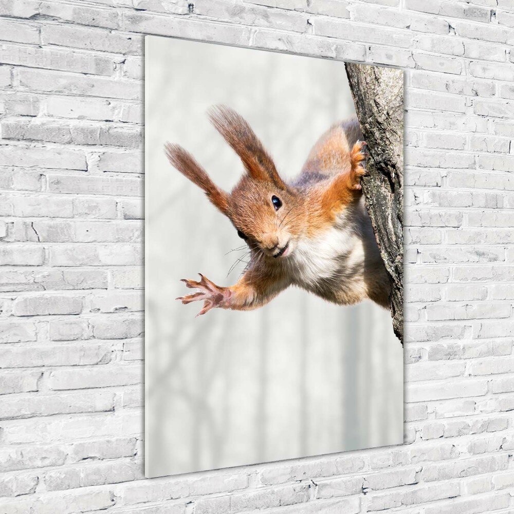 Acrylic wall art Squirrel on a tree