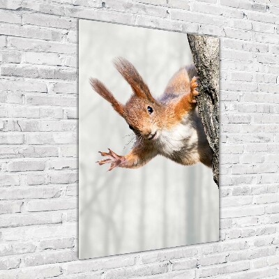 Acrylic wall art Squirrel on a tree