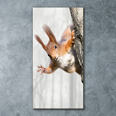 Acrylic wall art Squirrel on a tree