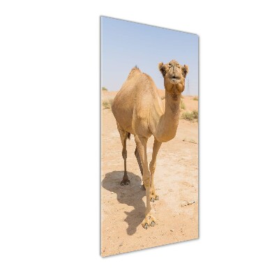 Acrylic wall art A camel in the desert