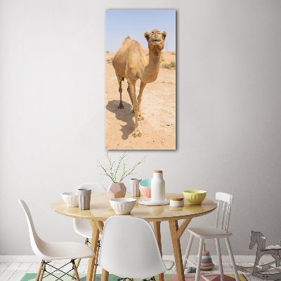 Acrylic wall art A camel in the desert