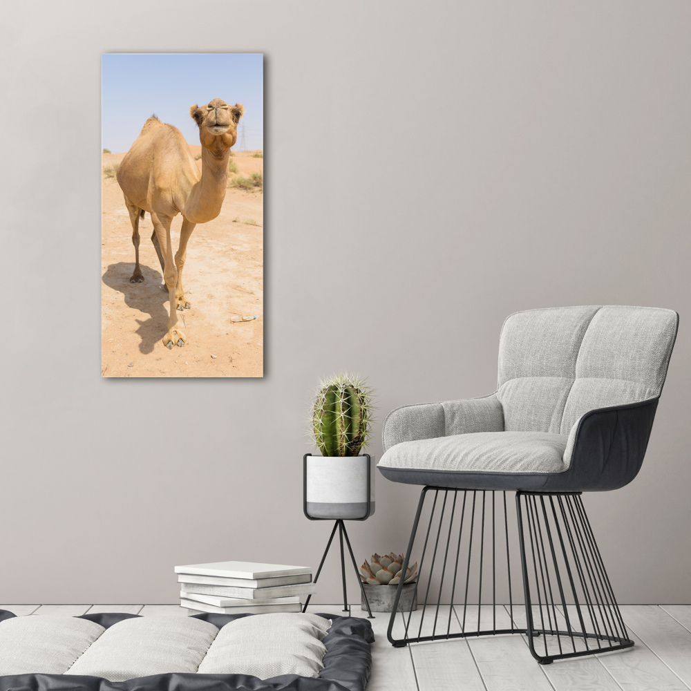 Acrylic wall art A camel in the desert