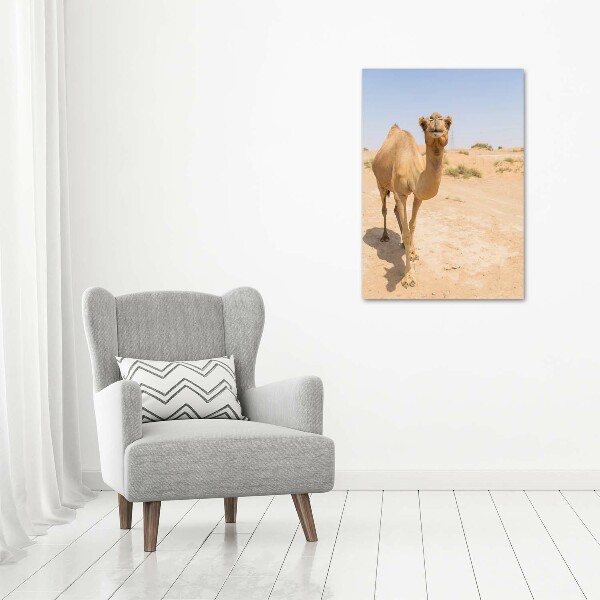 Acrylic wall art A camel in the desert