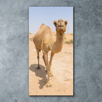 Acrylic wall art A camel in the desert