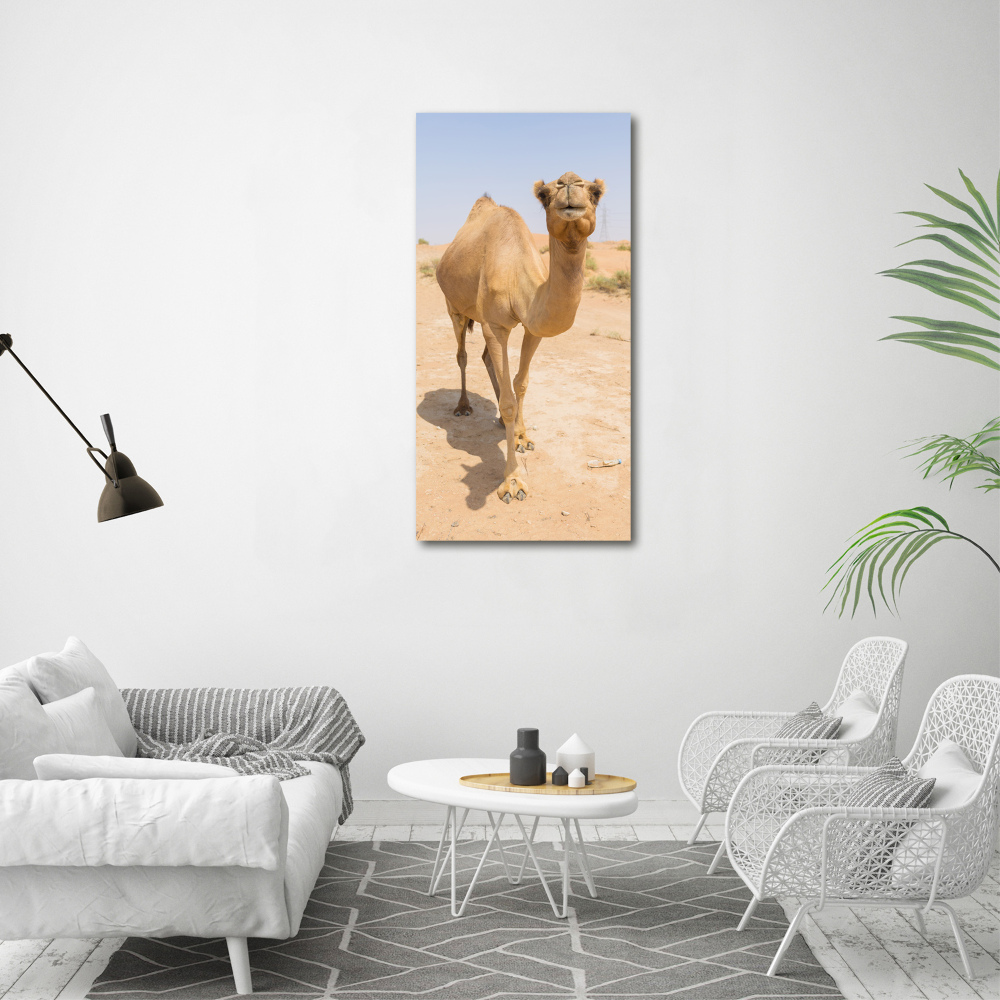 Acrylic wall art A camel in the desert