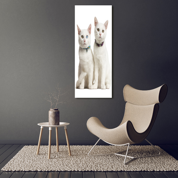 Print on acrylic Two white cats