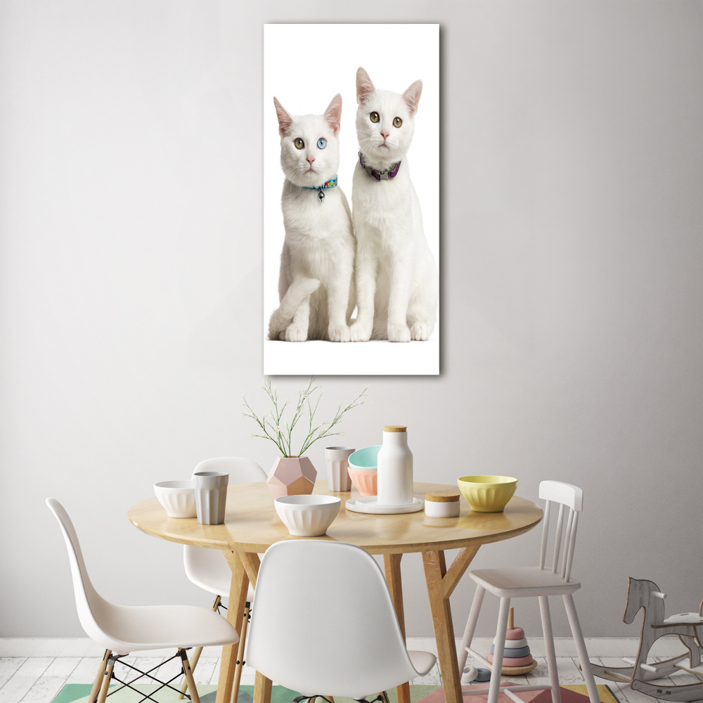 Print on acrylic Two white cats