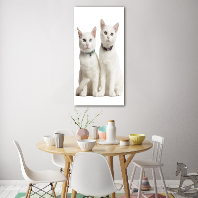 Print on acrylic Two white cats