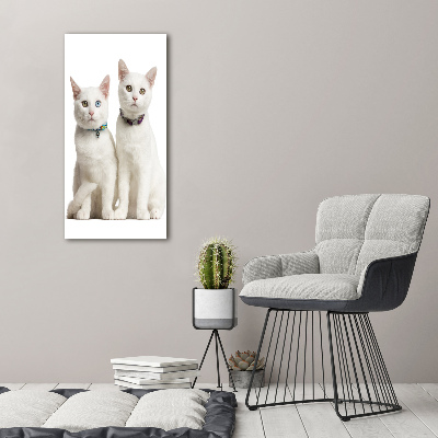 Print on acrylic Two white cats