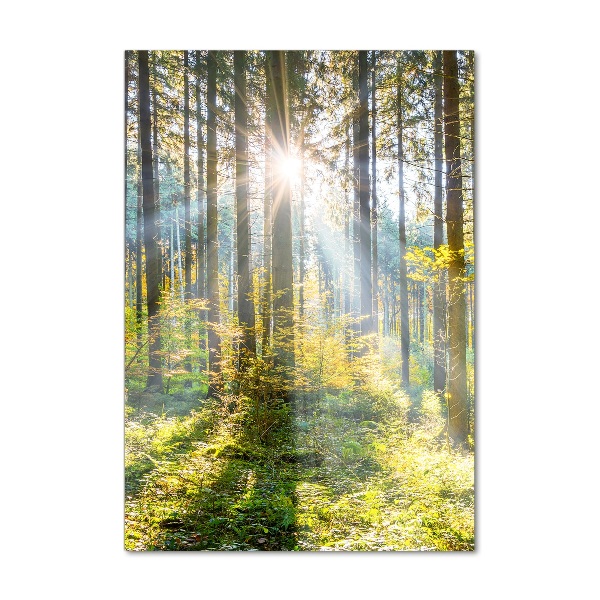 Print on acrylic The sun in the forest